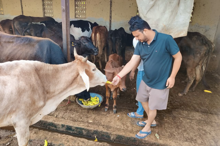 Best Gaushala in Muzaffarnagar, Uttar Pradesh